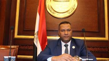   برلمانى: مصر استعادت فى عهد الرئيس السيسى دورها عالميا