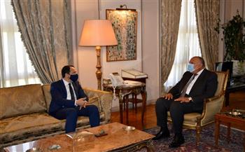   شكري يستقبل وزير خارجية قبرص في القاهرة            
