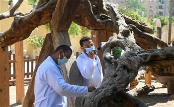   وزير السياحة والآثار يتفقد مستجدات أعمال مشروع تطوير شجرة مريم والمنطقة المحيطة بها