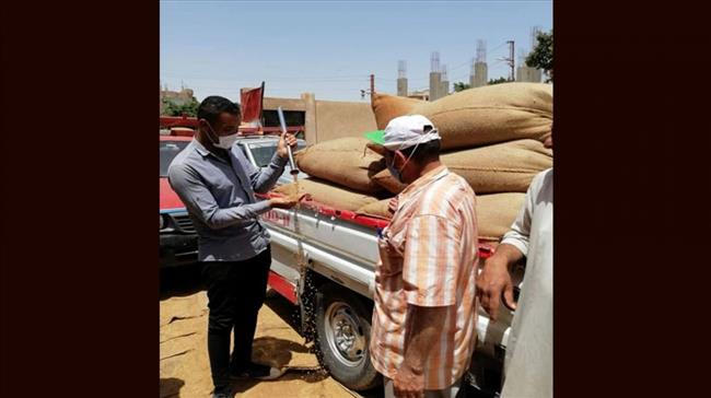 محافظ بني سويف:  توريد أكثر من 201 ألف طن  من الأقماح المحلية 