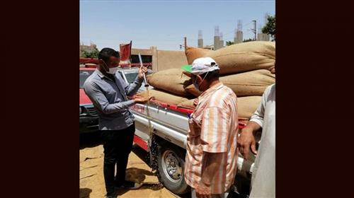 محافظ بني سويف:  توريد أكثر من 201 ألف طن  من الأقماح المحلية