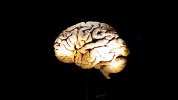   مخ الثدييات ربما يستخدم نفس الدوائر للتحكم في اللسان والأطراف