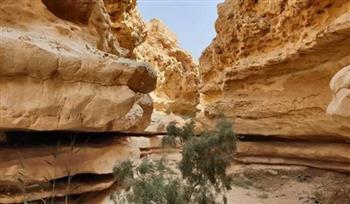 محمية وادي دجلة أرض عصر الأيوسين