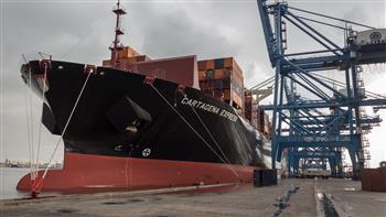   تداول 26 سفينة حاويات وبضائع عامة بميناء دمياط