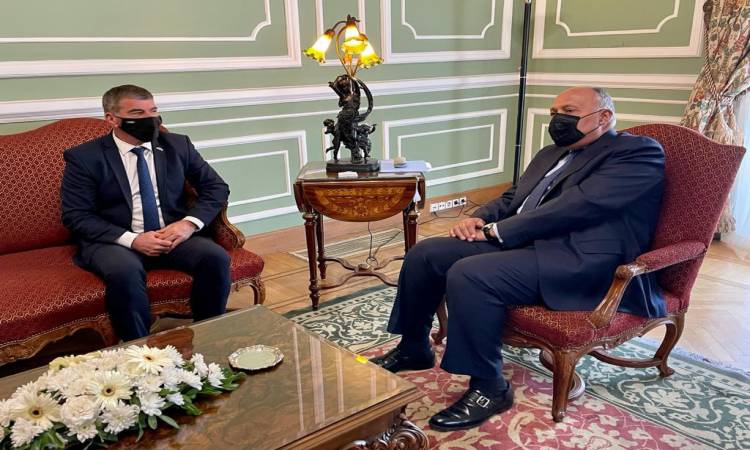 وزير الخارجية يلتقى نظيره الإسرائيلى بالقاهرة