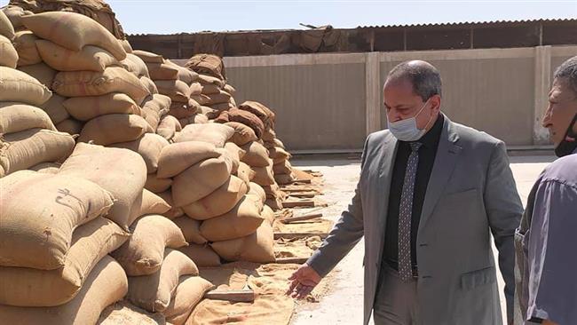  شون وصوامع المنيا تستقبل 296 ألف طن من الأقماح