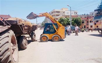 محافظ كفر الشيخ : رفع 1846 طن مخلفات وحملات نظافة مكثفة بالمراكز والمدن