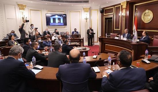 وزير الاتصالات يستعرض استراتيجية مصر الرقمية بمجلس الشيوخ