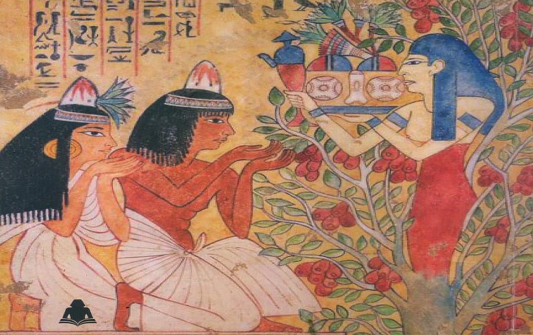 «الأسرة المصرية فى عصورها القديمة» أحدث إصدارات هيئة الكتاب