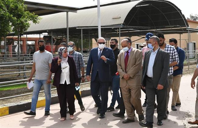 محافظ قنا يتفقد مشروعات الأمن الغذائى في منطقة المعنا