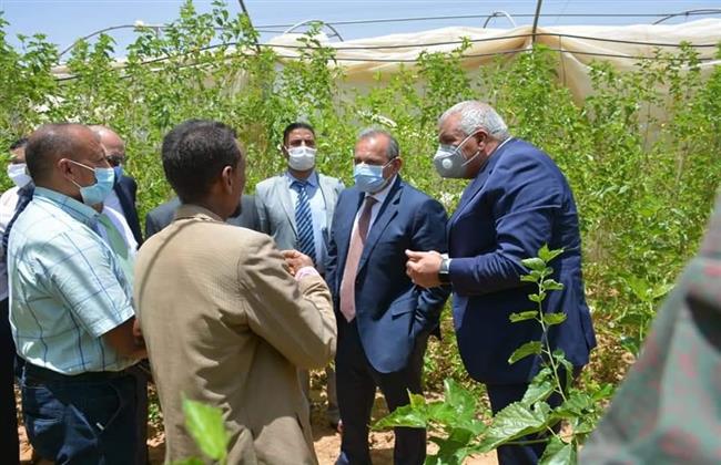 الزملوط وعكاشة يتفقدان مشروعات مبادرة إنتاج الحرير بمركز الداخلة