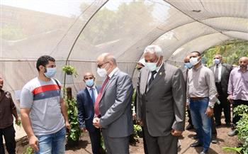   رئيس جامعة أسيوط يتفقد الصوبة العلمية لإنتاج نباتات الزينة 
