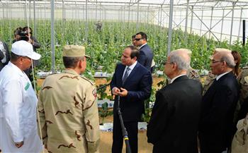   7 سنوات من التنمية.. الرئيس السيسي حقق طفرات إنتاجية في القطاع الزراعي 