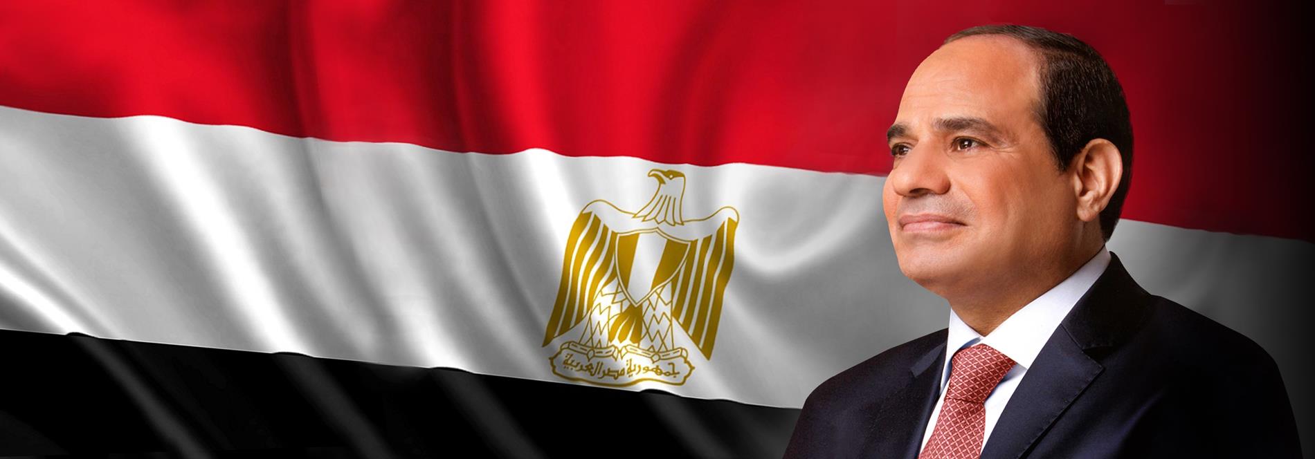 الرئيس السيسي يطلع على مخطط إنشاء أول مصنع لدباغة الجلود بالشرق الأوسط وأفريقيا