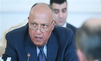   نص كلمة وزير الخارجية أمام اجتماع مجلس الجامعة العربية لبحث قضية سد النهضة