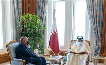 شكرى يسلم أمير قطر رسالة من الرئيس السيسى
