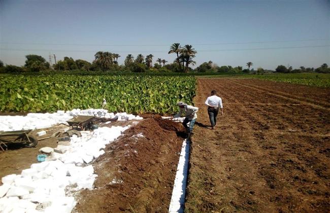 حملات لإزالة التعديات على الأراضي الزراعية وأملاك الدولة بمركزين بالمنيا