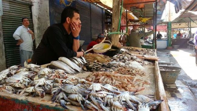 أسعار الأسماك فى سوق العبور