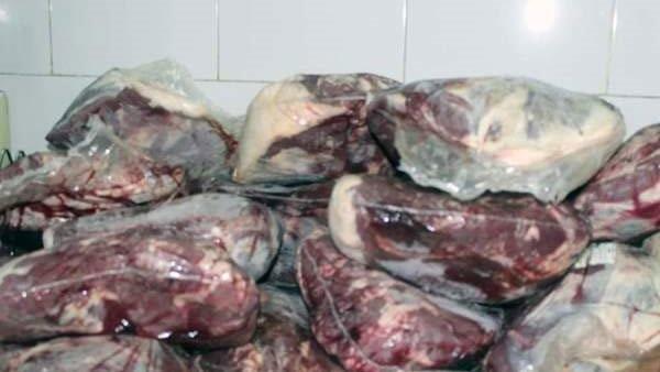 تموين الإسكندرية: ضبط أسماك ولحوم ودجاج منتهية الصلاحية