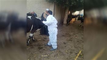   تطعيم 123 ألف رأس ماشية فى الحملة القومية للتحصين 