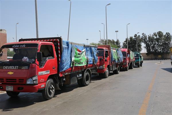 بتوجيهات الإمام الأكبر .. انطلاق قافلة طبية من الأزهر إلى قطاع غزة