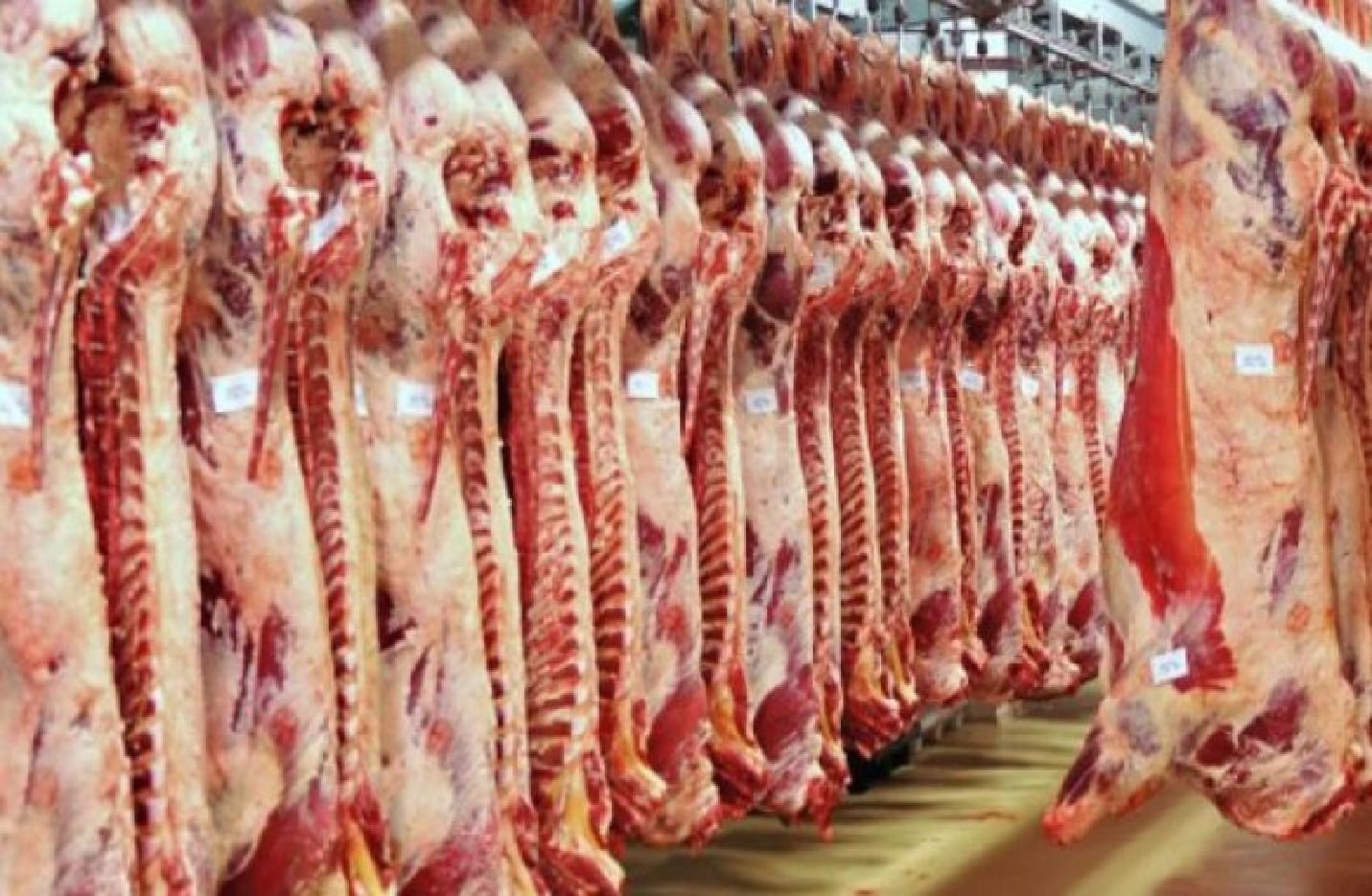 الأسباب الحقيقية  وراء ارتفاع أسعار اللحوم المستوردة