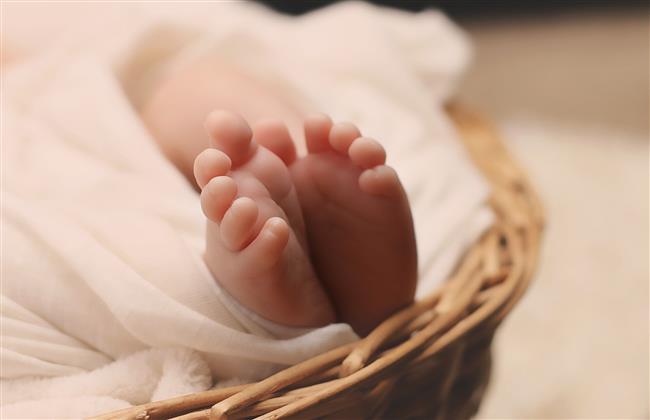 العثور على طفلة حديث الولادة تحت شجرة بالمنصورة