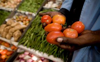   أسعار الغذاء عالمياً ترتفع بأسرع وتيرة منذ سبتمبر 2011