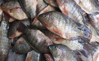   ضبط 4أطنان أسماك فاسدة بالقليوبية