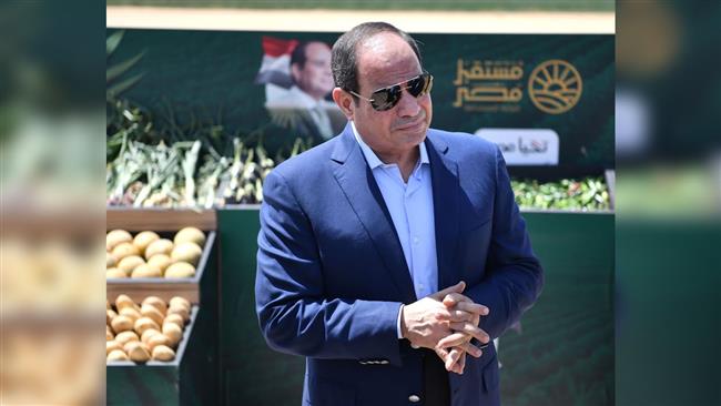 الزراعة تستعرض إنجازاتها في عهد الرئيس السيسي