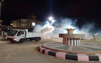   استمرار مقاومة الحشرات الطائرة بمصيف بلطيم ومحافظ كفر الشيخ يوجه بإستمرار التطوير