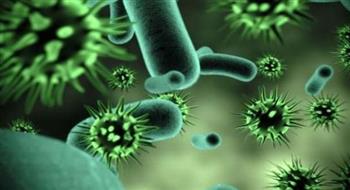  أمريكا تسجل أول إصابة بفيروس «هانتا» القاتل