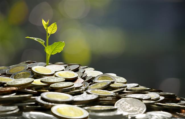 هل الزكاة في الوديعة البنكية على رأس المال أم الأرباح؟  الإفتاء تجيب
