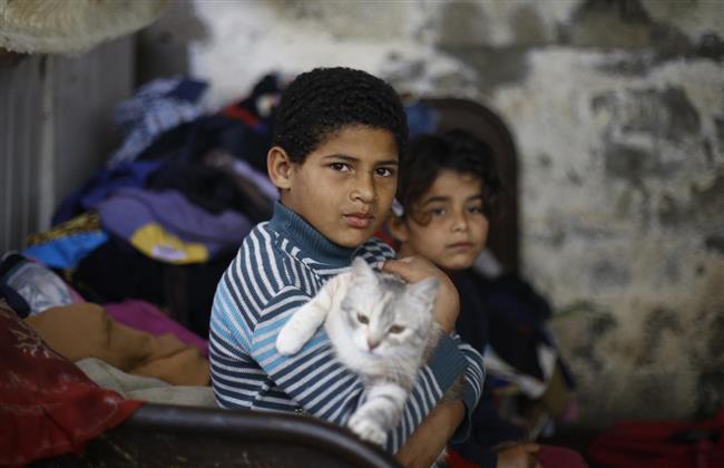 حصاد دعم الأزهر للقضية الفلسطينية في 6 ‏سنوات‏.. مرصد الأزهر في مواجهة العدو الصهيوني بـ13 لغة
