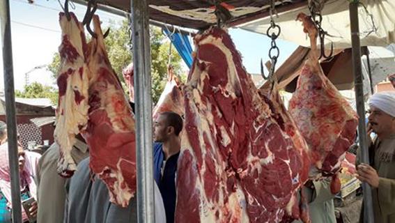  «بيطري قنا» يحصل على المركز الرابع في مراقبة اللحوم