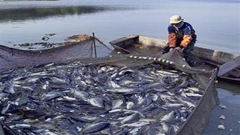   5٫4٪ زيادة فى الإنتاج السمكى عام 2019