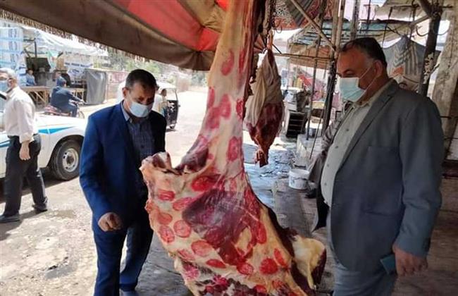 حملة مكبرة لمتابعة محلات الجزارة وشوادر الخراف بالإسكندرية