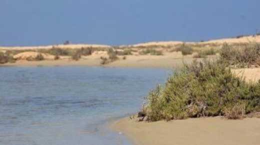 " الزرانيق " محمية مصرية لــ هجرة الطيور وشاهد على تاريخ الرومان