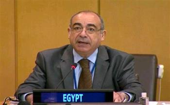   محمد إدريس: تونس تباشر سريان مشروع القرار المقدم من مصر والسودان في مجلس الأمن