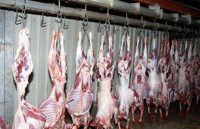 استعدادات محافظة المنيا لعيد الأضحى