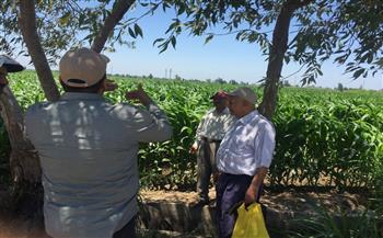   «الزراعة» تحذر المزارعين من شراء شتلات ابو بذور مجهولة المصدر