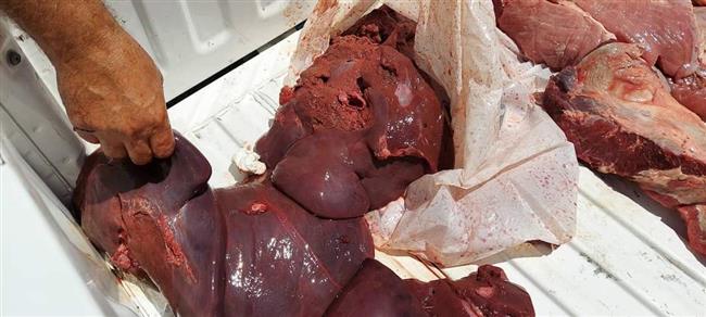 ضبط كميات كبيرة من اللحوم غير صالحة للإستهلاك ببورسعيد