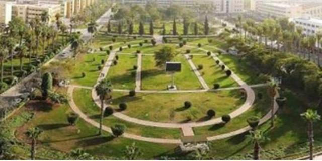 جامعة المنصورة تعلن تحقيق 96% من الشكاوى الحكومية الموحدة