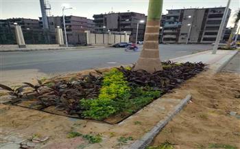   محافظ بورسعيد: استمرار أعمال تجميل وتطوير شارع العبور بحى الضواحى