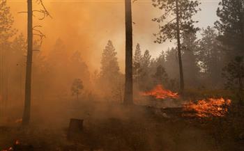   الحرائق تلتهم عشرات آلاف الهكتارات فى غرب أمريكا وكندا