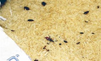 ضبط 2.8 طن أرز مجهول المصدر بسوهاج