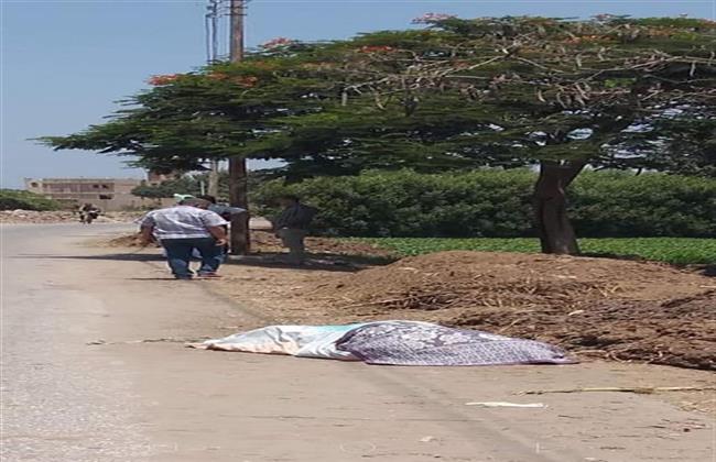 جثة وسط الطريق.. العثور على «تاجر» مقتولاً بالبدرشين