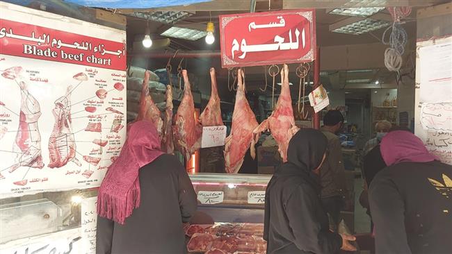 تشديد ورقابة أسعار اللحوم الحمراء في الإسكندرية  