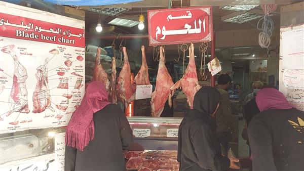 تشديد ورقابة أسعار اللحوم الحمراء في الإسكندرية