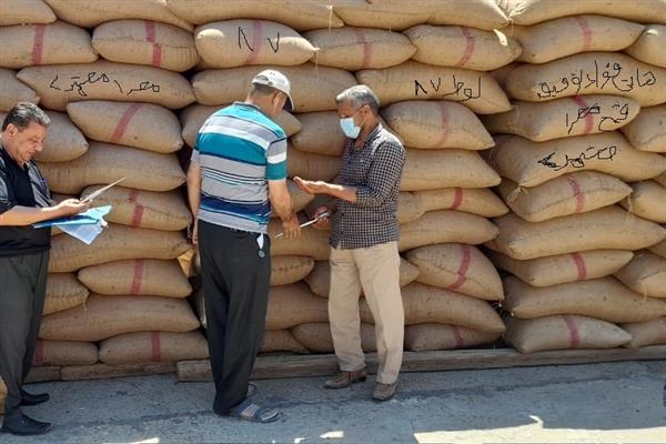 «الزراعة»: استمرار العمل بمحطات التقاوى على مستوى الجمهورية